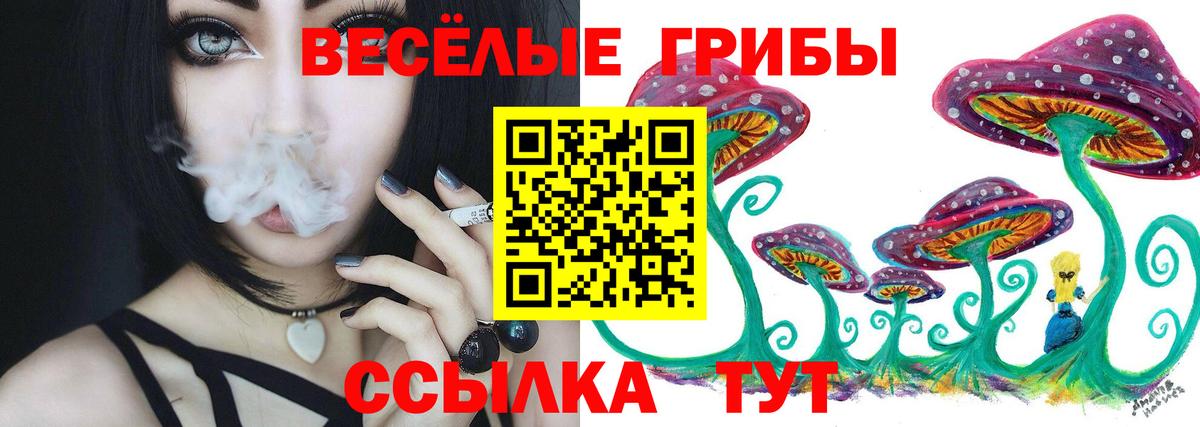 Галлюциногенные грибы GOLDEN TEACHER Урай